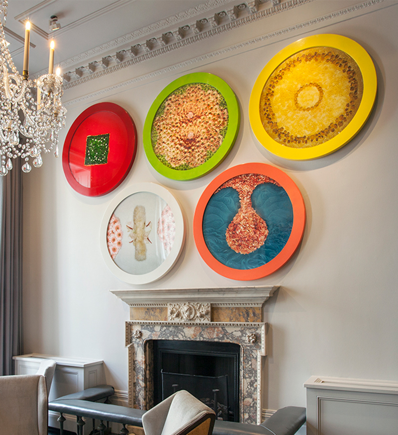 Block party exhibition