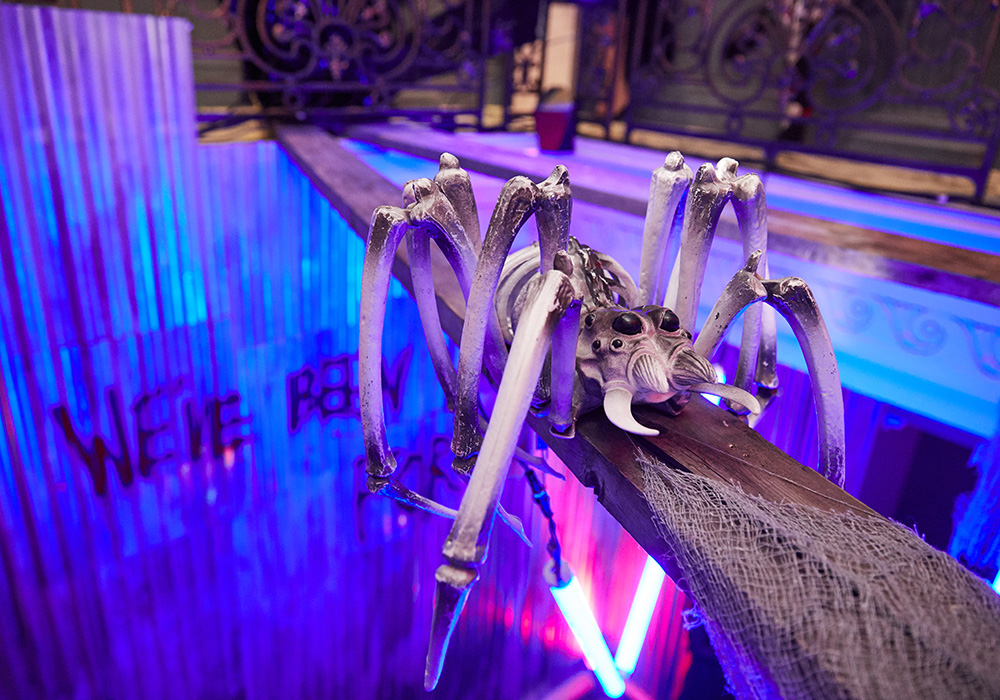 Halloween 2019 spider