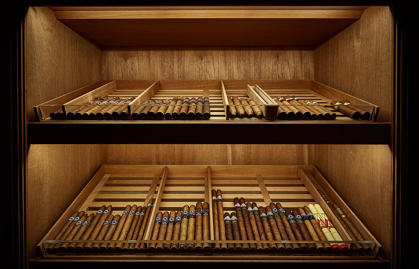 Oscuro humidor shelves